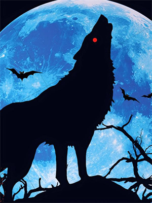 重生年代：我怎麼多了三個前妻